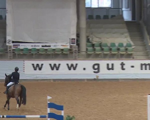 Reitturnier Kreuth/Opf. 2022