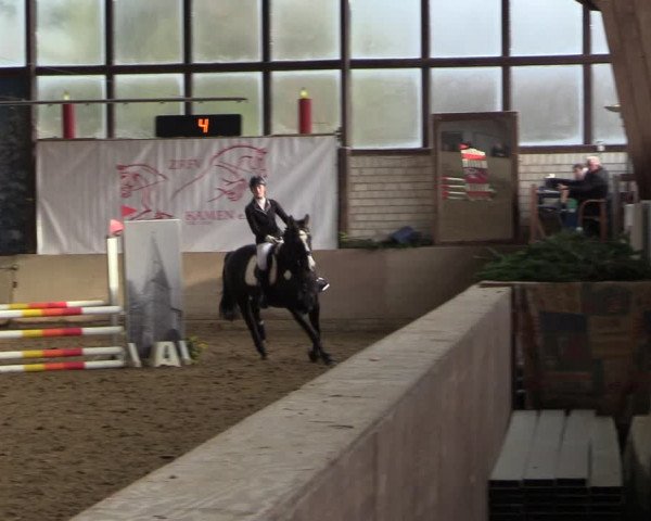 Reitturnier Kamen 2022