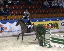 jumper Double O Seven 6 (Swedish Warmblood, 2001, from Carnute)