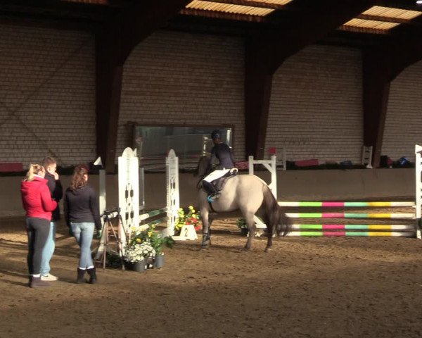 Reitturnier Kamen 2022