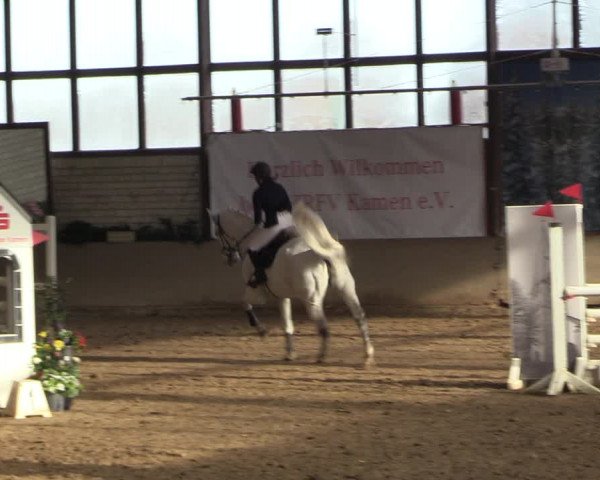 Reitturnier Kamen 2022