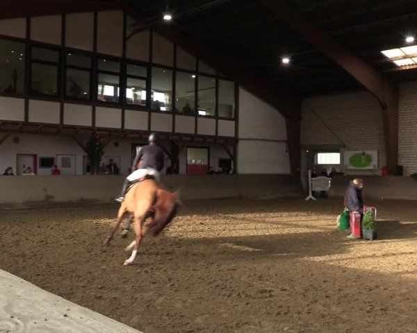 Reitturnier Kamen 2022