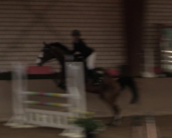 Reitturnier Kamen 2022