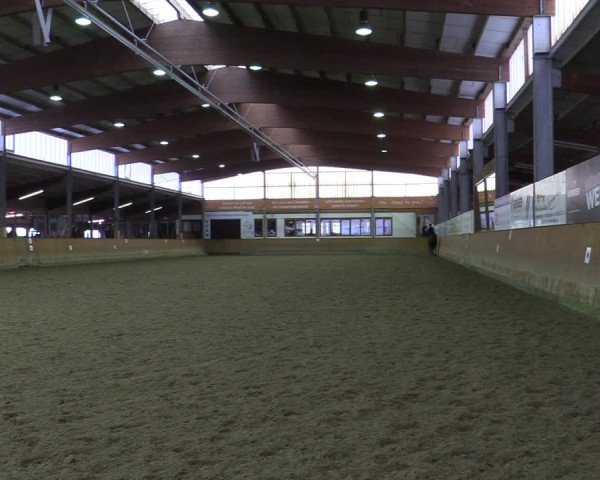 Reitturnier Appelhülsen 2022