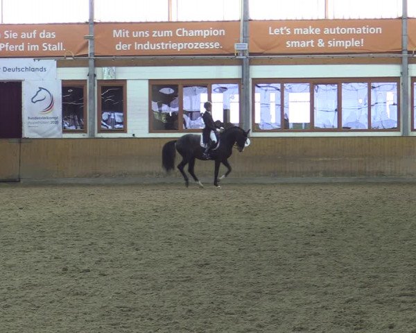 Reitturnier Appelhülsen 2022