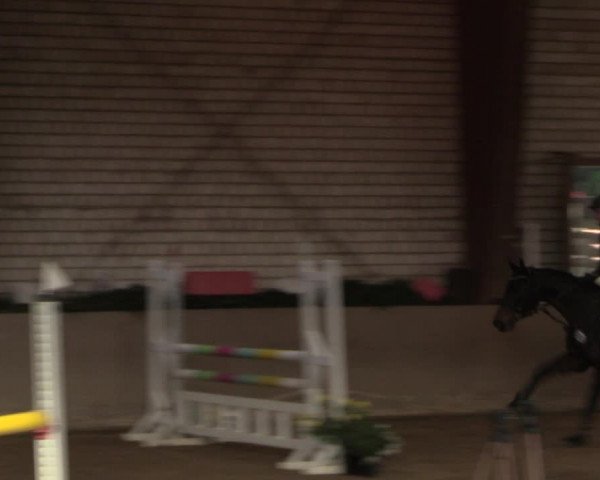 Reitturnier Kamen 2022