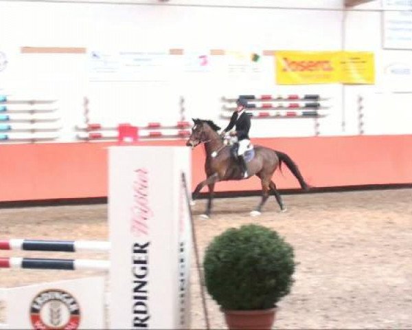 jumper Ladys First 2 (Bavarian, 2002, from La Piko)