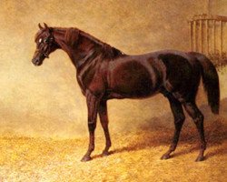 stallion Gladiator xx (Thoroughbred, 1833, from Partisan xx)
