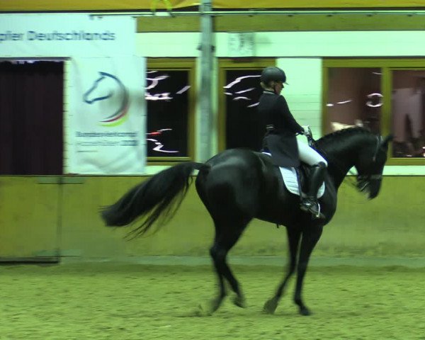 Reitturnier Appelhülsen 2022