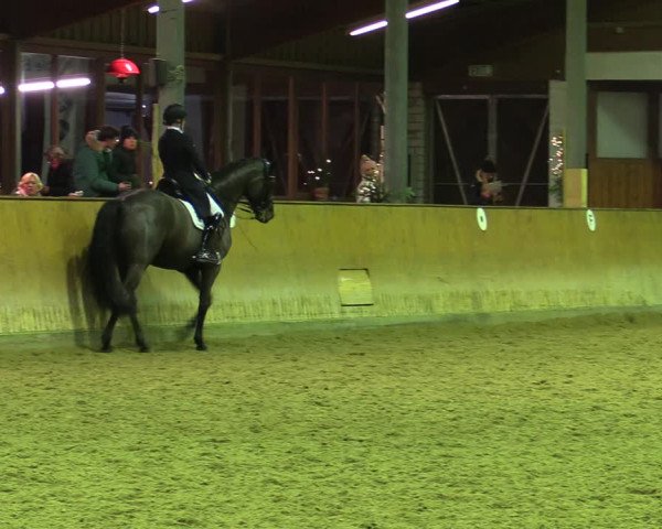Reitturnier Appelhülsen 2022