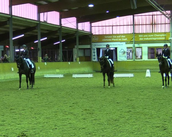 Reitturnier Appelhülsen 2022