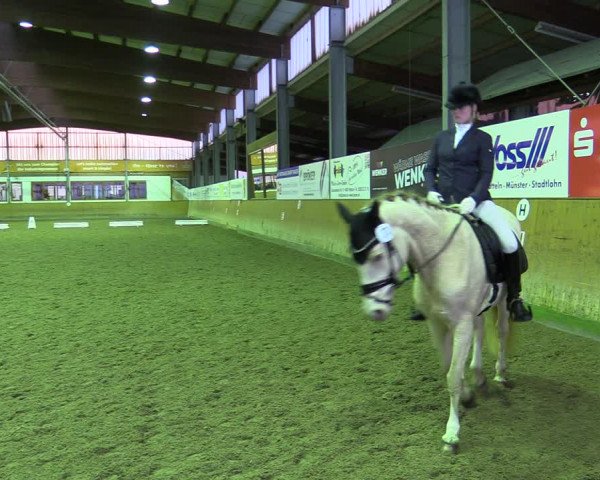 Reitturnier Appelhülsen 2022