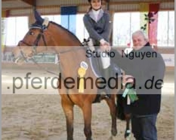 broodmare Scarletti 2 (Westphalian, 2003, from Spaceman) broodmare Scarletti 2 (Westphalian, 2003, from Spaceman)