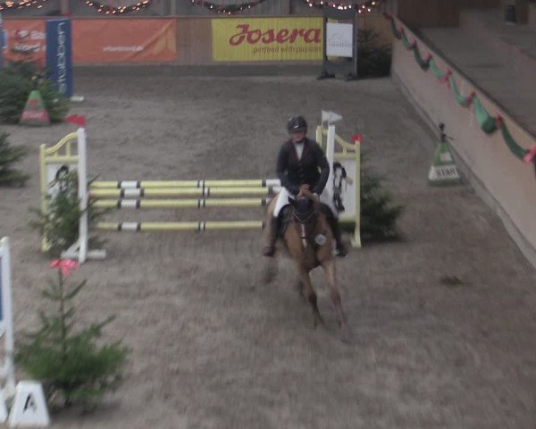 Reitturnier Leck 2022