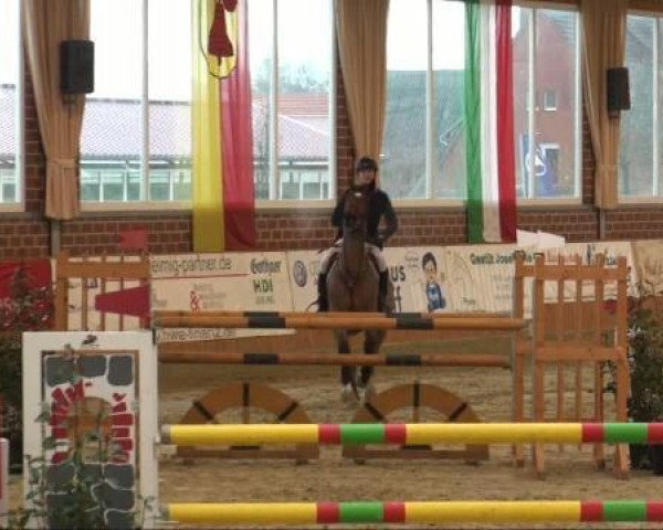 jumper Baron du Rouet (Oldenburg, 2001, from Baloubet du Rouet)