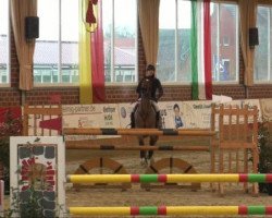 jumper Baron du Rouet (Oldenburg, 2001, from Baloubet du Rouet)