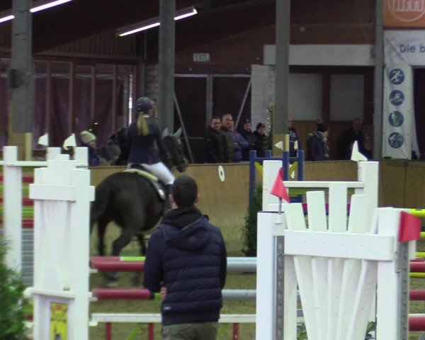 Reitturnier Appelhülsen 2022
