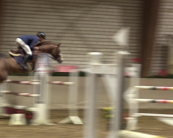 Reitturnier Kamen 2022