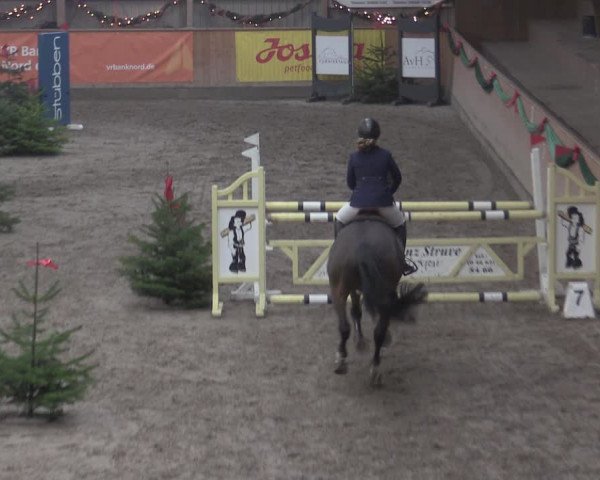 Reitturnier Leck 2022