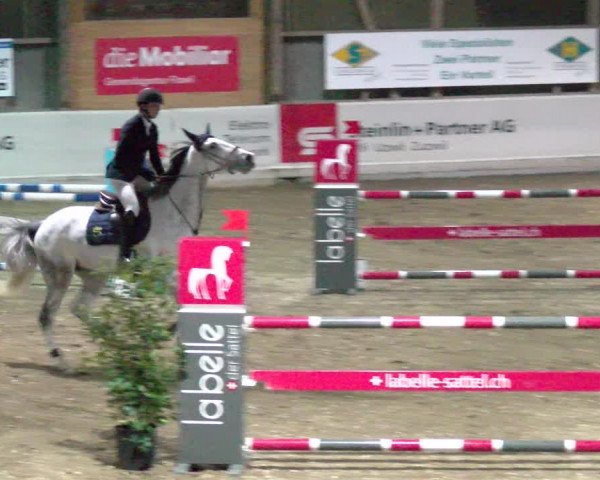Reitturnier Henau 2022