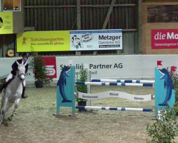 Reitturnier Henau 2022
