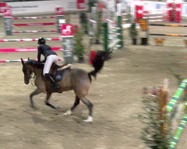 Reitturnier Henau 2022
