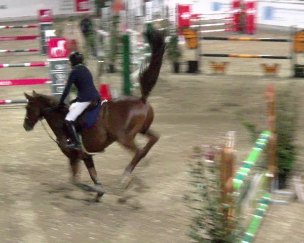 Reitturnier Henau 2022