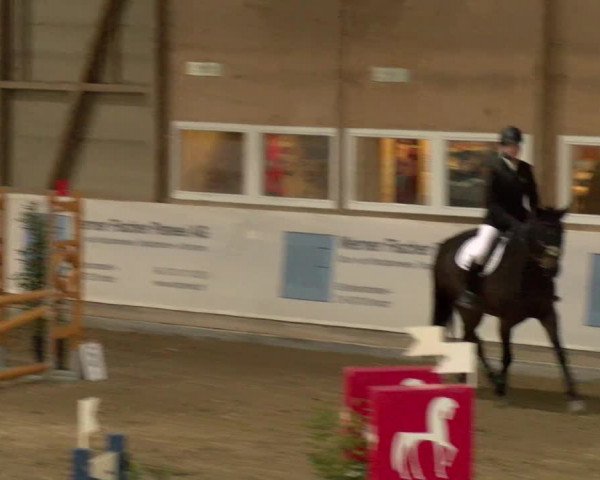 Reitturnier Henau 2022