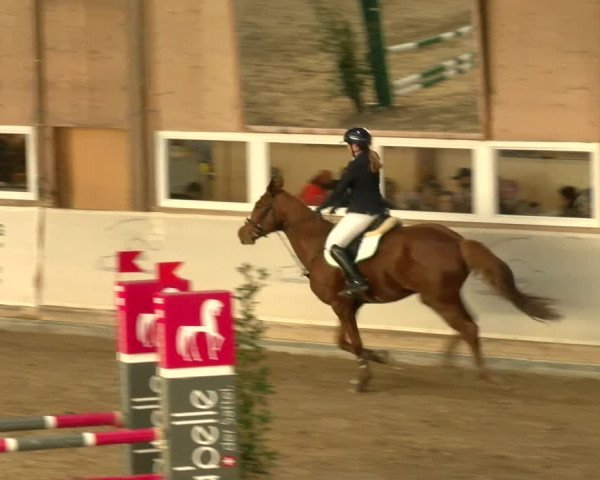 Reitturnier Henau 2022