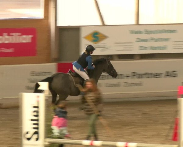Reitturnier Henau 2022