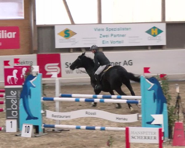 Reitturnier Henau 2022