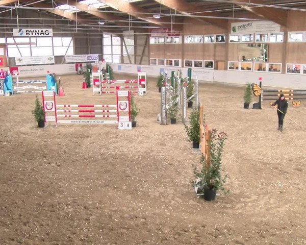 Reitturnier Henau 2022
