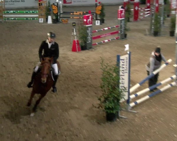 Reitturnier Henau 2022