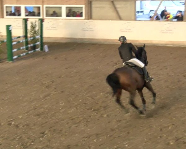 Reitturnier Henau 2022