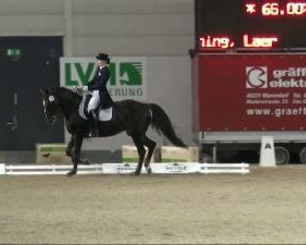 broodmare Donnerlippchen 2 (Westphalian, 2003, from Dollmann)