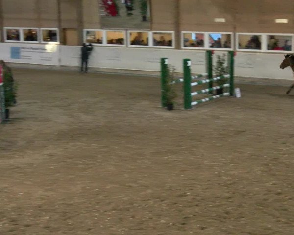Reitturnier Henau 2022