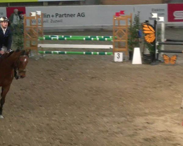 Reitturnier Henau 2022