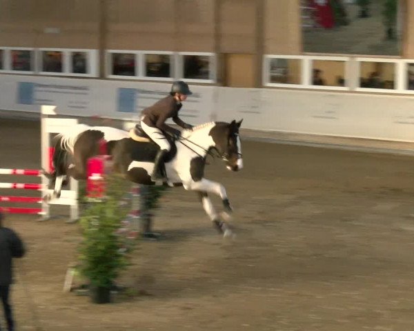 Reitturnier Henau 2022