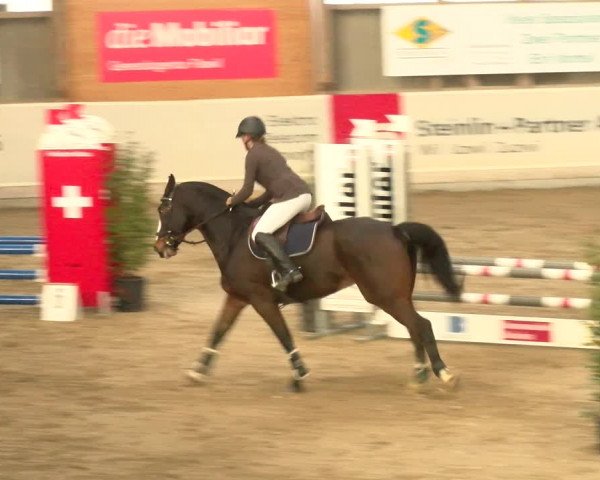 Reitturnier Henau 2022