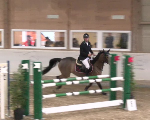 Reitturnier Henau 2022