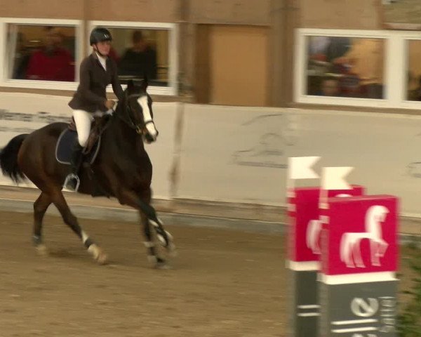 Reitturnier Henau 2022