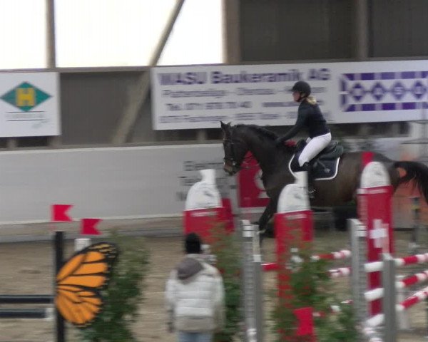 Reitturnier Henau 2022