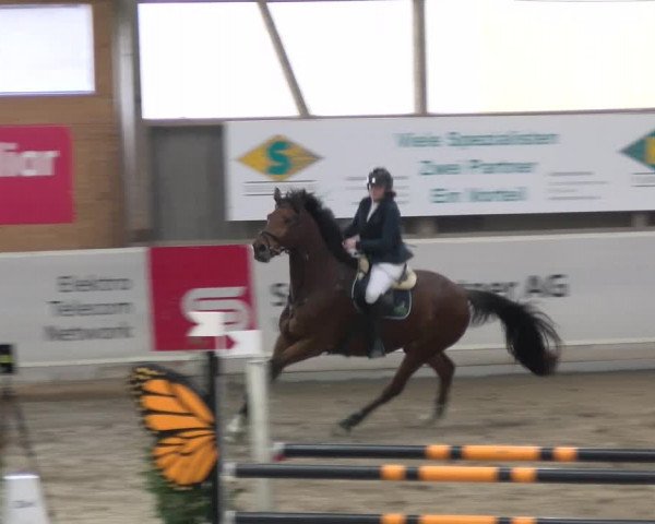 Reitturnier Henau 2022