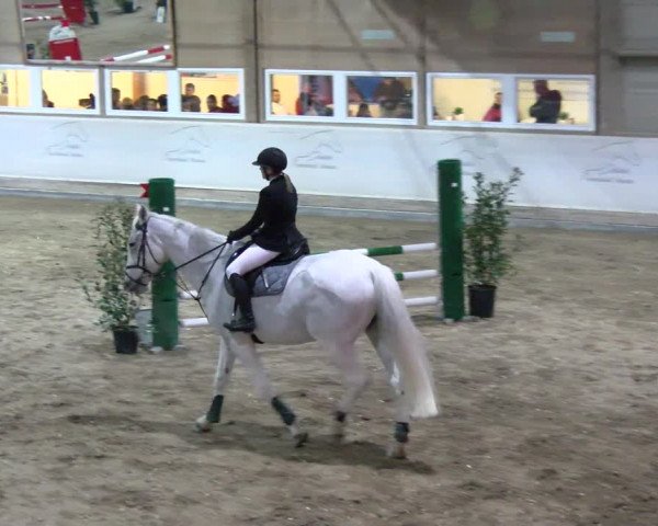 Reitturnier Henau 2022