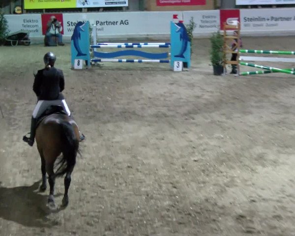 Reitturnier Henau 2022