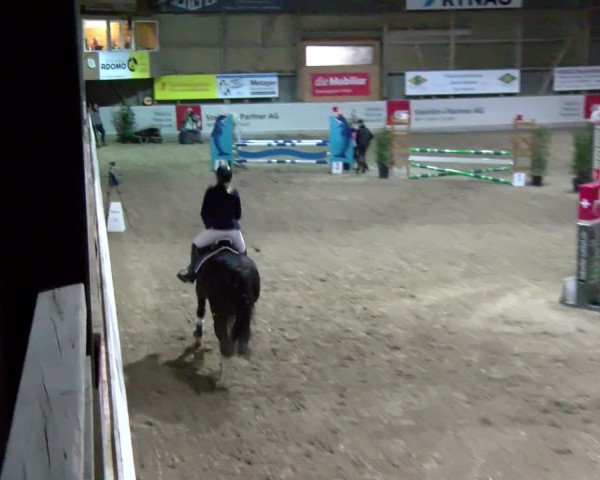Reitturnier Henau 2022