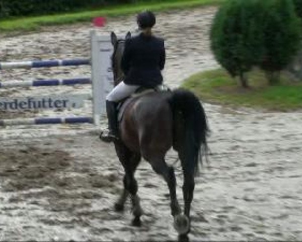 jumper Collin 64 (Rhinelander, 2004, from Cordobes I)