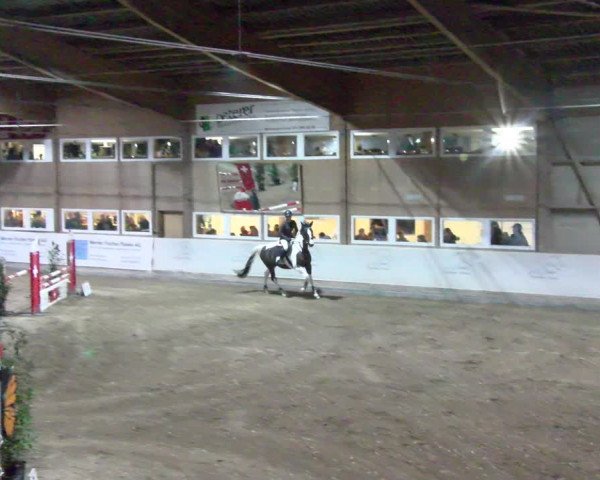 Reitturnier Henau 2022