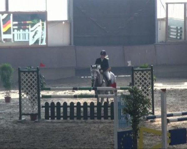 jumper Simba 105 (German Riding Pony, 2001, from Poldy)
