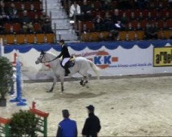 Springpferd Irco's Lando (KWPN (Niederländisches Warmblut), 2002, von VDL Orame)